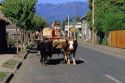 Peasant man hauling items with oxen and wagon near Antuco, Chile.