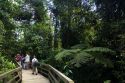 Tourists at the Veragua Rainforest Research and Adventure Park near Limon, Costa Rica.