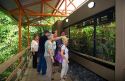 Tourists at the Veragua Rainforest Research and Adventure Park near Limon, Costa Rica.
