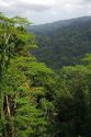The Veragua Rainforest Research and Adventure Park near Limon, Costa Rica.