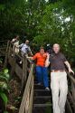 Tourists walk through the Veragua Rainforest Research and Adventure Park near Limon, Costa Rica.