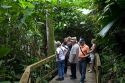 Tourists walk through the Veragua Rainforest Research and Adventure Park near Limon, Costa Rica.