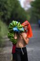 Costa Rican boy carrying a newly harvested bunch of bananas near Siquirees, Limon province, Costa Rica.