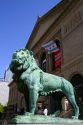 Bronze lion statue at the entrance to the Art Institute of Chicago building in Chicago, Illinois, USA.