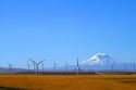 Biglow Canyon wind farm located near the town of Wasco, Oregon, USA.