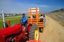 Tractor ride at the Flower Fields at Carlsbad, California, USA.