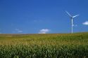 Windmill and corn crop near Greenfield, Iowa, USA.