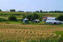 Corn fields near Cumberland, Iowa, USA.