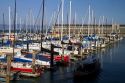Boats docked at Pier 39 marina in San Francisco, California, USA.
