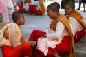 Young buddhist nuns socialize in (Rangoon) Yangon, (Burma) Myanmar.