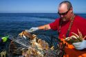 Crab fishing in the Pacific Ocean off the coast of Depoe Bay, Oregon, USA.