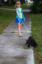 Five year old girl walking a dog in Tampa, Florida, USA.