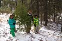Family cutting a christmas tree in the Boise National Forest near Idaho City, Idaho, USA.