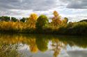 Fall colors along the Bear River near Tremonton, Utah, USA.