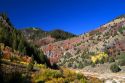 Autumn color along the Logan River in Logan Canyon, Utah, USA.