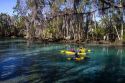 Tourists viewing manatees from kayaks in the Crystal River National Wildlife Refuge at Kings Bay, Florida, USA.