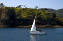 Sail boat in the Bay of Islands, North Island, New Zealand.