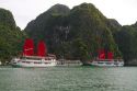 Tour boats in Ha Long Bay, Vietnam.