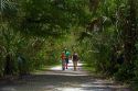 Family walking along a path in the Florida everglades, USA.
