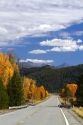 Trees in autumn color along Highway 75 near Ketchum, Idaho, USA.
