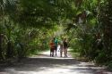Family walking along a path in the Florida everglades, USA.
