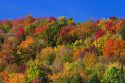 Fall foliage near Lake Elmore in Lamoille County, Vermont, USA.