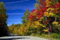 Fall foliage on a rural backroad north of Stowe, Vermont, USA.