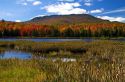 Fall foliage at McAllister Pond in Orleans County, Vermont, USA.