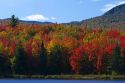 Fall foliage at McAllister Pond in Orleans County, Vermont, USA.